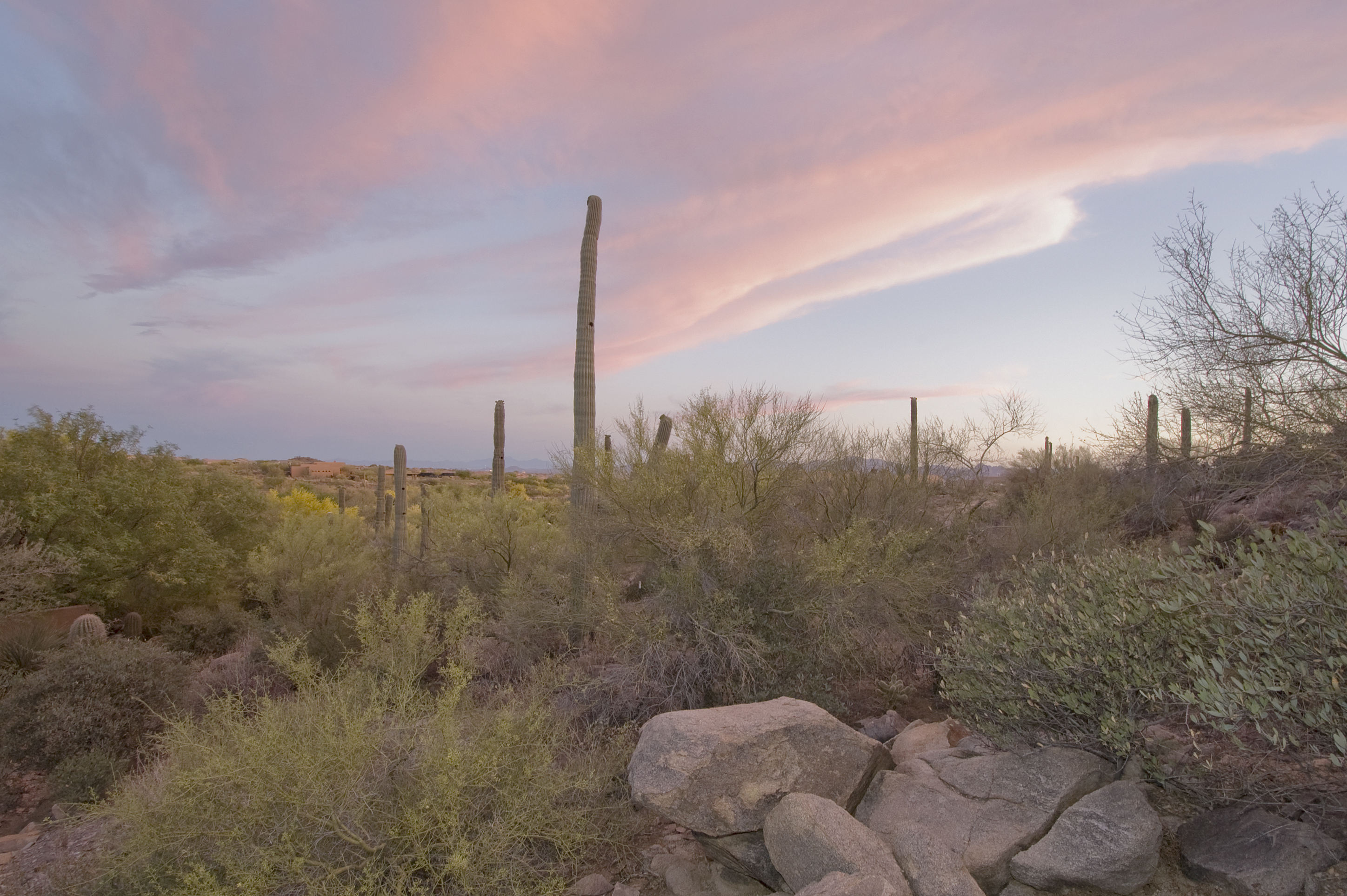 Twilight photo at Dove Mountain - Tucson Home Search - GrowTucson.com